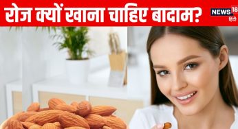 शरीर को पोषक तत्व देने में सबसे ‘धनी’ है ये ड्राईफ्रूट, सेवन करने से बढ़ती है एनर्जी, दिमाग भी बना रहता तरोताजा!