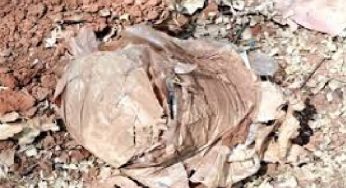 पश्चिमी सिंहभूम में नक्सलियों की साजिश नाकाम, सुरक्षा बलों ने बचाई जानें